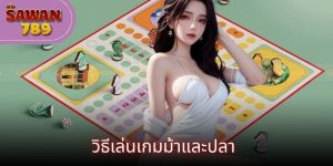 วิธีเล่นเกมม้าและปลา